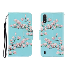 Colored Drawing Horizontal Flip Leather Case with Holder & Card Slot & Wallet, For Galaxy A01