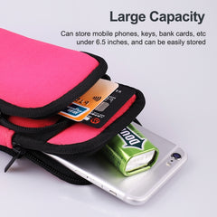 Zipper Double Pocket Multi Function Sports Arm Bag with Earphone Hole, For Smart Phones Below 6.0 inch