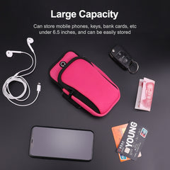 Zipper Double Pocket Multi Function Sports Arm Bag with Earphone Hole, For Smart Phones Below 6.0 inch