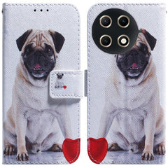 Coloured Drawing Flip Leather Phone Case