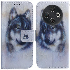 Coloured Drawing Flip Leather Phone Case