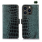 For iPhone 16 Pro / Green