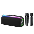 Dual Mic / Black