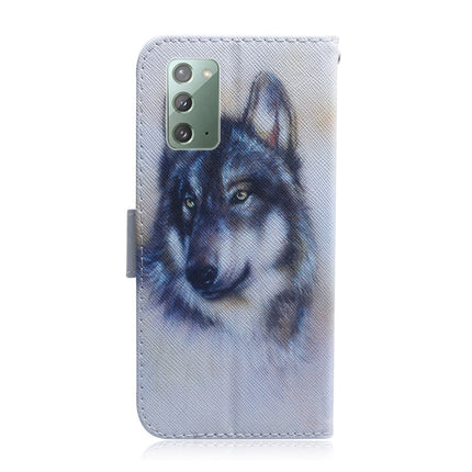 Coloured Drawing Horizontal Flip Leather Case, with Holder & Card Slots & Wallet, For Samsung Galaxy Note 20, For Samsung Galaxy Note 20 Ultra
