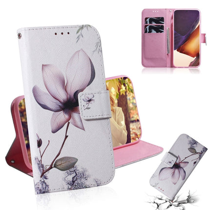 Coloured Drawing Horizontal Flip Leather Case, with Holder & Card Slots & Wallet, For Samsung Galaxy Note 20, For Samsung Galaxy Note 20 Ultra