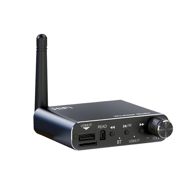 Portable Bluetooth Receiver Audio AUX Adapter Supports USB Disk, TF Card With Remote Control, D19
