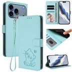 For iPhone 17 Pro / Mint Green