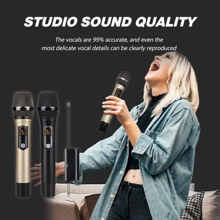DEBRA A-25 UHF Wireless Rechargeable Microphone System for Stage KTV