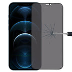 For iPhone 12 Pro Max (1 PC)