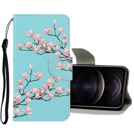 3D Colored Drawing Horizontal Flip PU Leather Case with Holder & Card Slots & Wallet, For iPhone 12 / 12 Pro