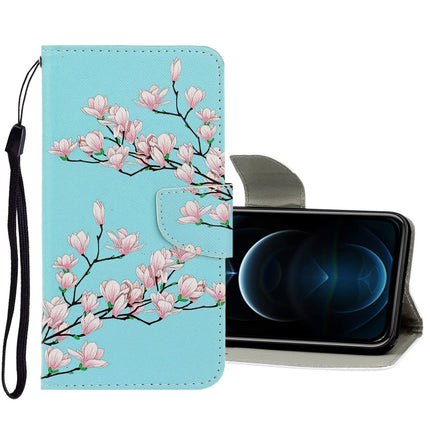 3D Colored Drawing Horizontal Flip PU Leather Case with Holder & Card Slots & Wallet, For iPhone 12 Pro Max