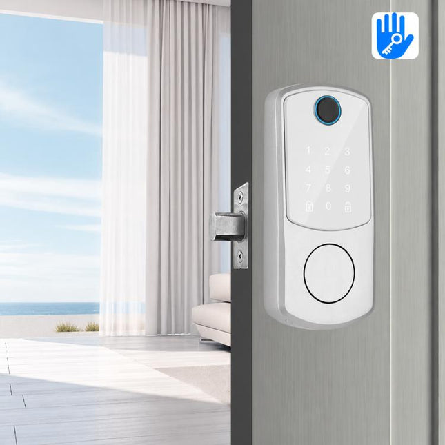 D10 Smart Lock Fingerprint Lock, TTLOCK Model, WiFi Direct Connector Model, Basic Model, Cat Eye Model, Graffiti Model
