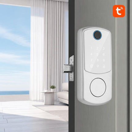 D10 Smart Lock Fingerprint Lock, TTLOCK Model, WiFi Direct Connector Model, Basic Model, Cat Eye Model, Graffiti Model