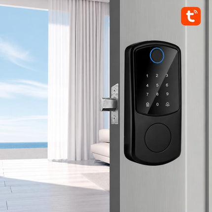 D10 Smart Lock Fingerprint Lock, TTLOCK Model, WiFi Direct Connector Model, Basic Model, Cat Eye Model, Graffiti Model