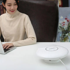 1000W Winter Mini Electric Fan Heater Desktop Household Radiator Energy Saving, UK Plug, UK Plug