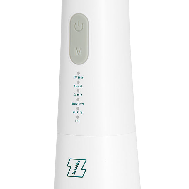 Electric Water Flosser Full Set