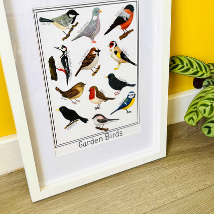 Garden British Birds Art Print-: Multiple Sizes available