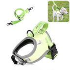 Size: S / Green