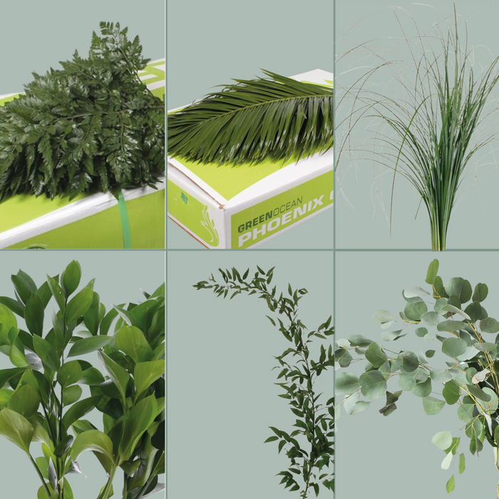 GR Mixed Foliage Box