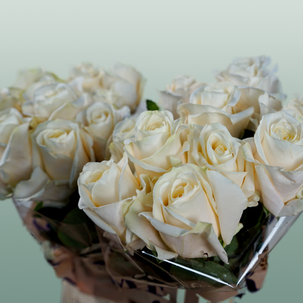 Rose Four Seasons