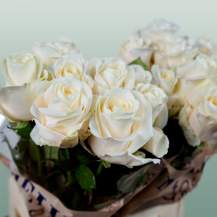 Rose Four Seasons