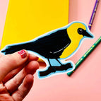 Yellow headed blackbird