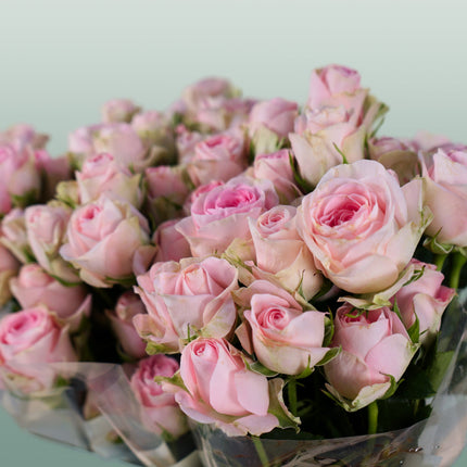 Rose Good Mood (Spray) (10 Stems)