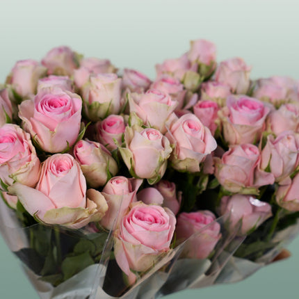 Rose Good Mood (Spray) (10 Stems)