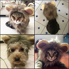 Lion Style Cute Pet Clothes for Regular Size Cats or Small Dogs with About 26cm Head Girth