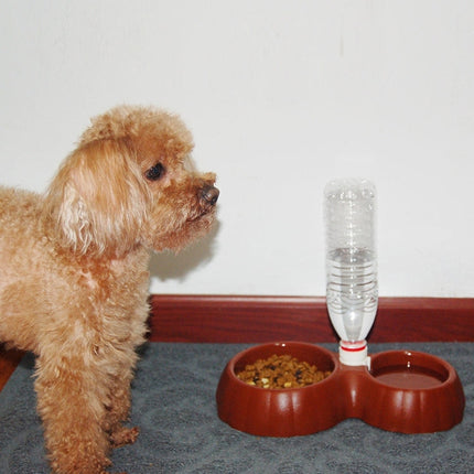 Pumpkin Shape Dog Cat Food Dish + Drinking Water Double Bowls with Automatic Water Dispenser, Size: S, Size: S  Magenta, Size: S  Green