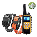 880-2 Black+Orange / Black+Orange