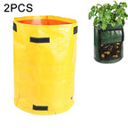 Yellow / HC4637Y