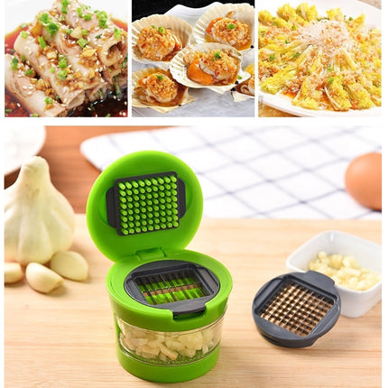 2 PCS Multi-purpose Mini Kitchen Tool Vegetable Garlic Manual Slicer Cutter Chopper Random Color Delivery, Mini Garlic Crusher