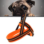 Size: S, 2.0*50*62cm / Orange