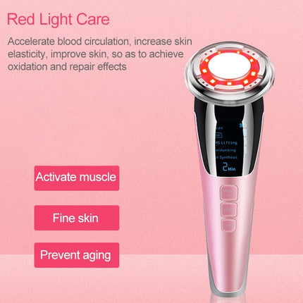 BLK-D818 Facial Beauty Instrument Hot and Cold Color Skin Rejuvenation Instrument EMS Micro Current Beauty Introduction Instrument