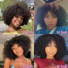 180 Density Kinky Curly Short Bob Human Hair Wig with Bangs Raw Brazilian Virgin Human Hair Afro Kinky Curly Wig for Black Women