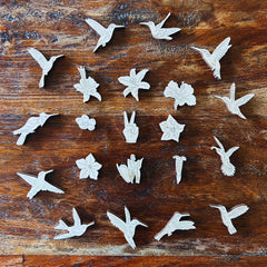 Hummingbirds (Trochilidae)