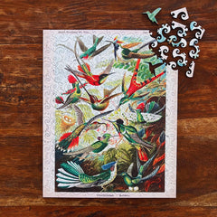 Hummingbirds (Trochilidae)