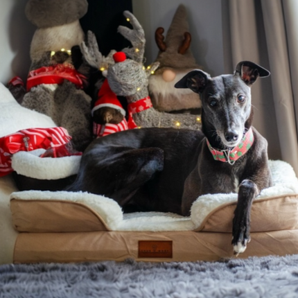 The Belgravia Orthopaedic Dog Sofa™ - Medium