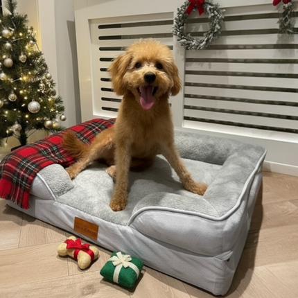 The Belgravia Orthopaedic Dog Sofa™ - Medium