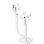 XHH-801A / IP8P4215W