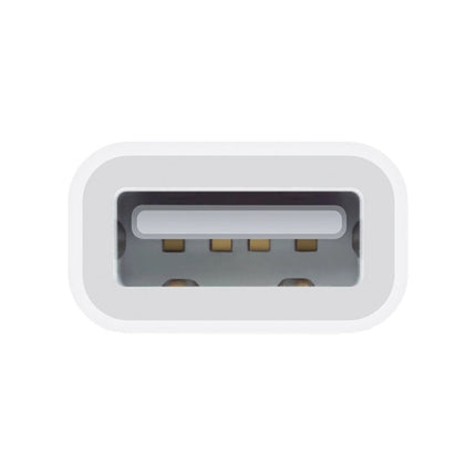 8 Pin to Single USB Port Camera Adapter