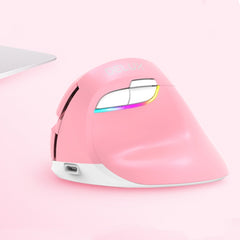 DELUX M618 Mini 2.4G Wireless 2400DPI USB Rechargeable Ergonomic Vertical Mouse, M618 Pink, M618 Grey