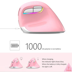 DELUX M618 Mini 2.4G Wireless 2400DPI USB Rechargeable Ergonomic Vertical Mouse, M618 Pink, M618 Grey