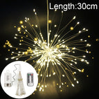 30CM White Light / White Light
