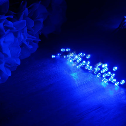 100 LEDs Holiday Decorative Light, 17m Blue Light, 17m Colorful Light, 17m White Light, 17m Warm White