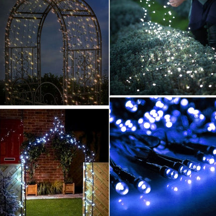 100 LEDs Holiday Decorative Light, 17m Blue Light, 17m Colorful Light, 17m White Light, 17m Warm White