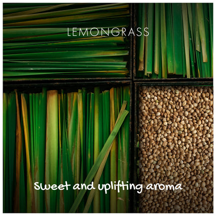Natural Soap On A Rope - 'Zingy' Lemongrass 125g