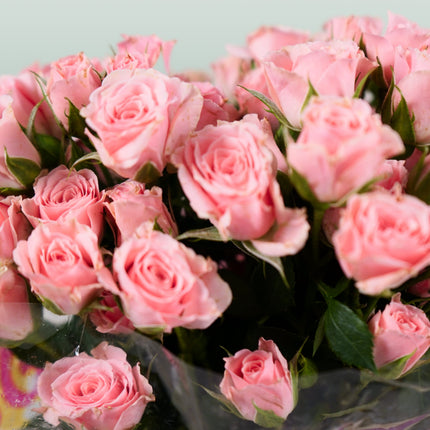 Spray Rose Lydia