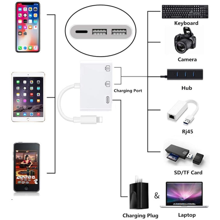 3 in 1 8 Pin Male to Dual USB Female Port Camera Adapter